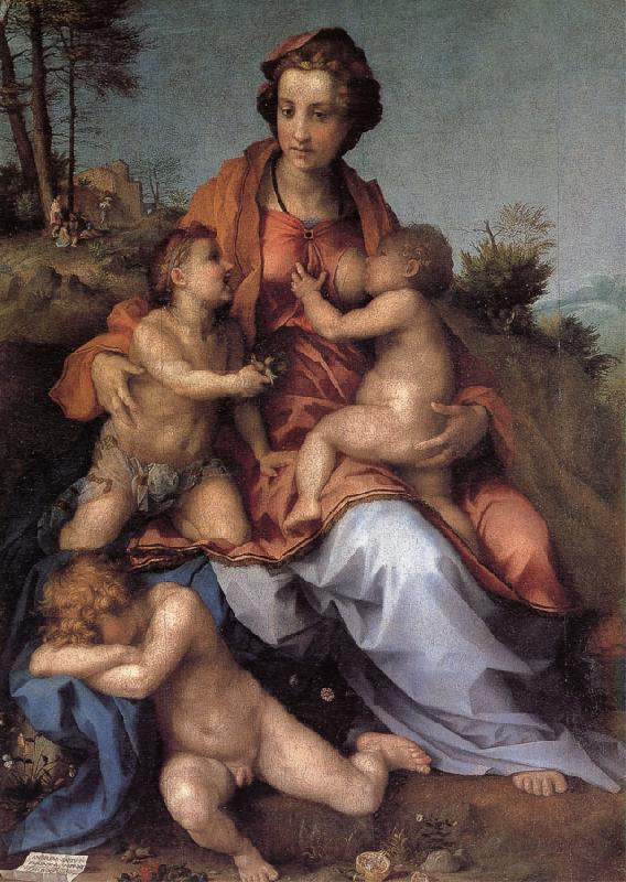 Andrea del Sarto Kind France oil painting art